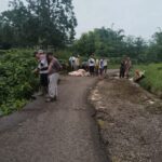 WhatsApp Image 2025 03 09 at 10.03.21