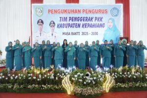 WhatsApp Image 2025 03 10 at 12.13.50