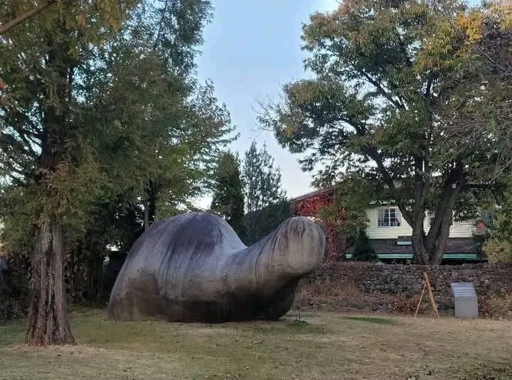 Batu Representasi Kura-kura di Bogor, Di Jual Ke Korea