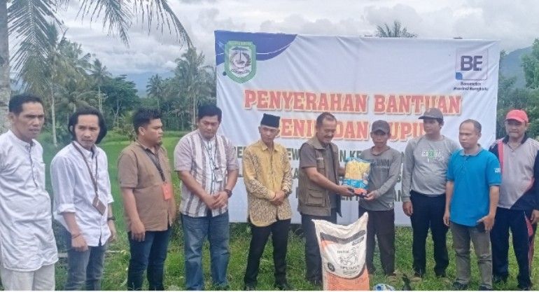 Screenshot 2024 1129 195509 3145400838