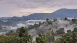 Helmi Hasan Tahan Rekomendasi Tambang Emas Seluma: Sikap Melawan Izin Pusat, Bela Penolakan Warga??