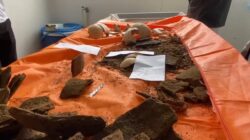 Tiga Tengkorak Guci Kepahiang Dikonfirmasi Peninggalan Megalitikum: Praktik Penguburan Sekunder Ditemukan