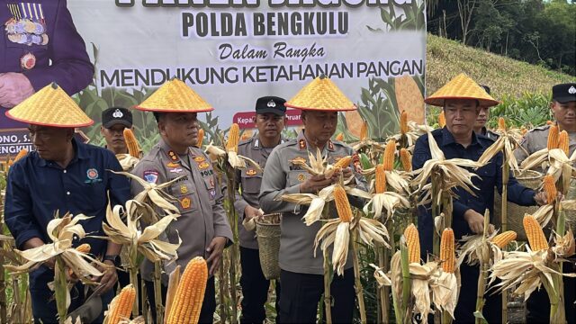 Panen Jagung di Kepahiang, Kapolda Bengkulu Turun Langsung Ke Lahan