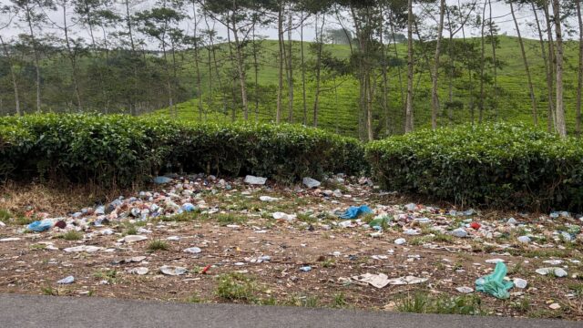 Keindahan Kebun Teh Kabawetan Ternoda, Wisatawan Keluhkan Minimnya Tempat Sampah