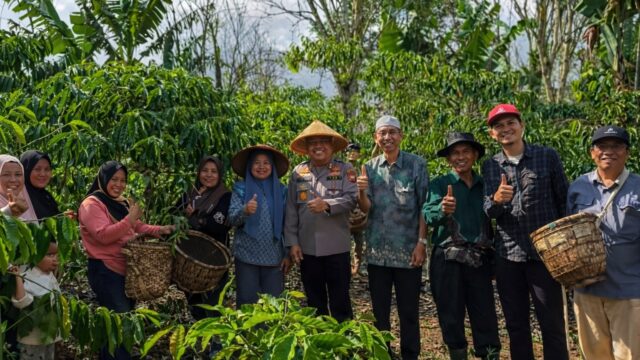 Kapolres Kepahiang Turun ke Kebun, Petik Kopi Bersama Petani: Bukti Nyata Kedekatan Polri dengan Rakyat