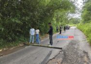 IMG 20260415 WA00741