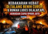 IMG 20260501 WA01531