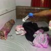 IMG 20260509 WA0105